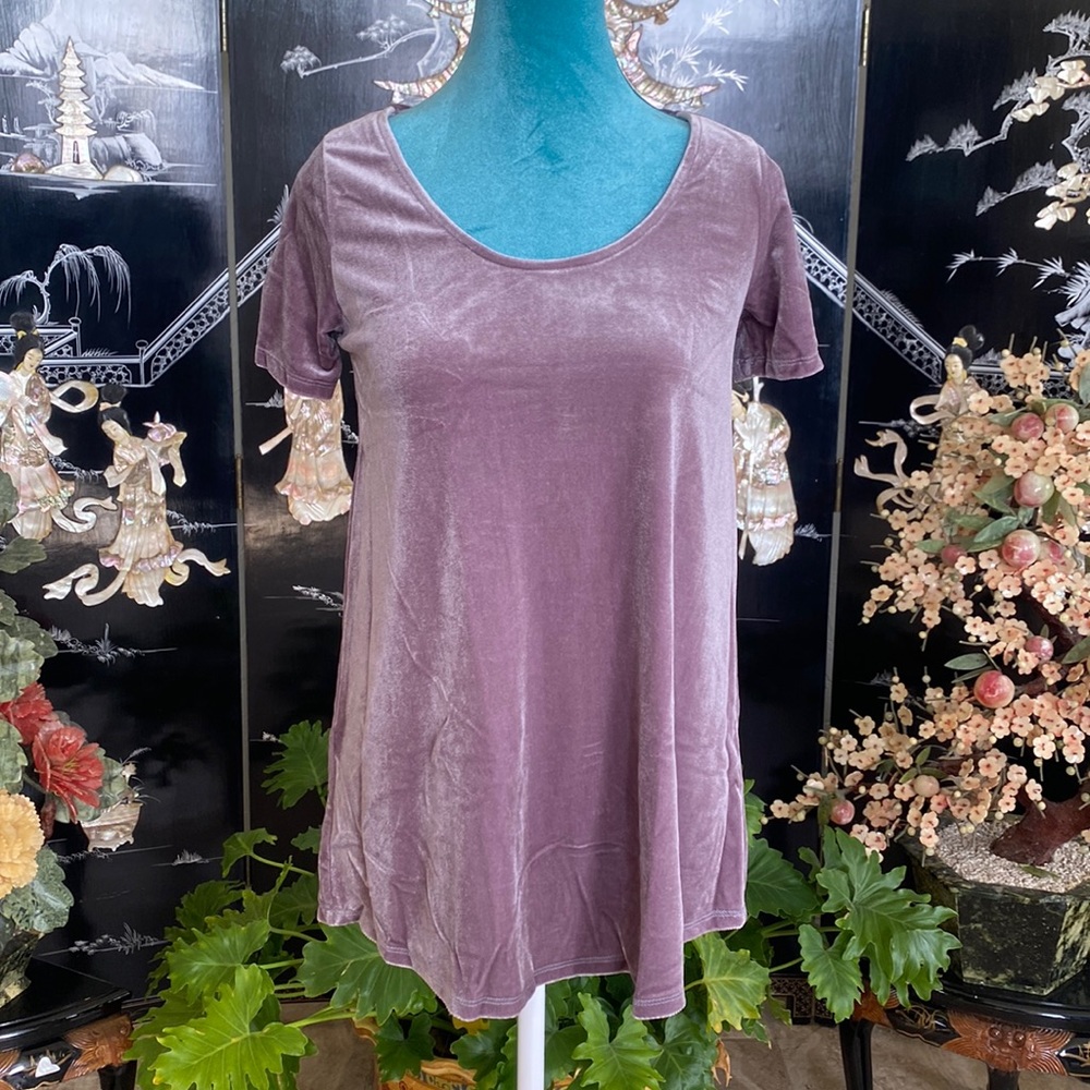 ❤️ #21 NWT Agnes & Dora Velvet Every Day Tee Deep Lilac XS